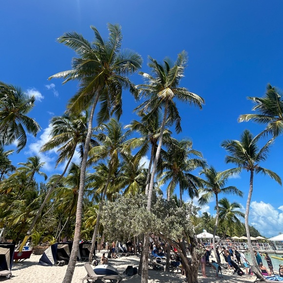 Meet your Posher, Grace - Picture 2 of 2